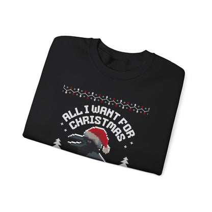 All I Want for Christmas | Holiday Apparel | Ugly Sweater | Christmas Humor Sweatshirt